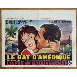RAT D'AMERIQUE