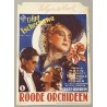 ROTE ORCHIDEEN