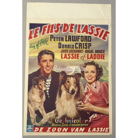 SON OF LASSIE