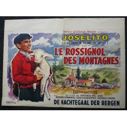 ROSSIGNOL DES MONTAGNES