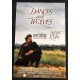 DANCES WITH WOLVES