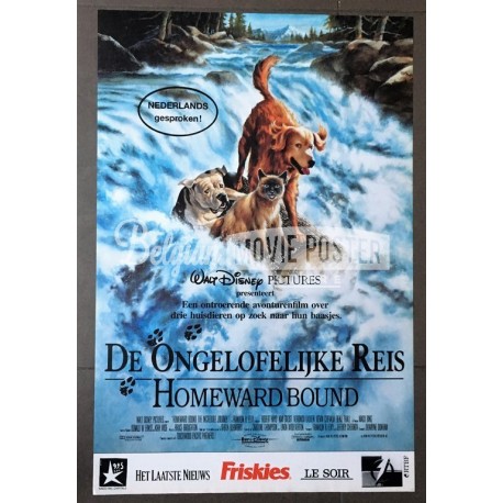 HOMEWARD BOUND: INCREDIBLE JOURNEY