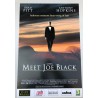 MEET JOE BLACK